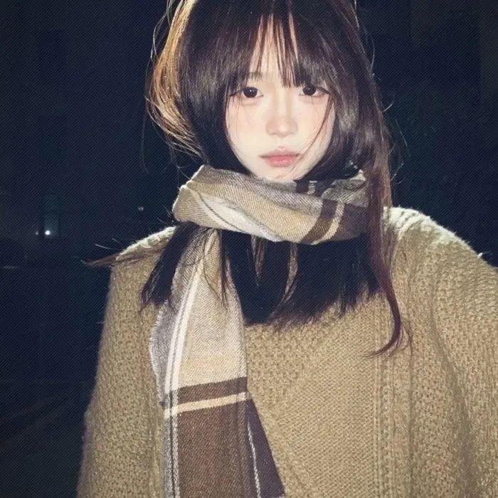我的天才女友 第三季