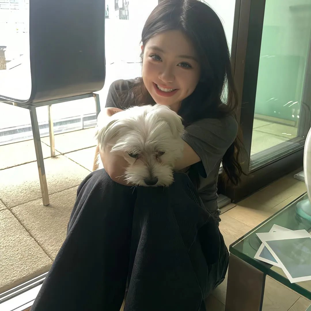 奇谋妙计多仔公